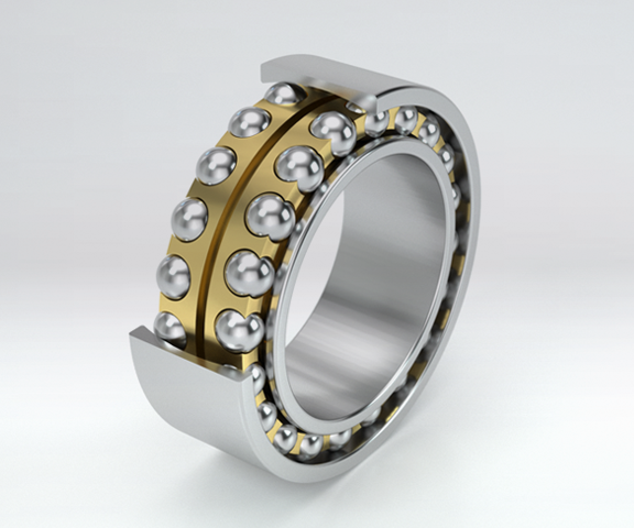 Cuscinetti oscillanti